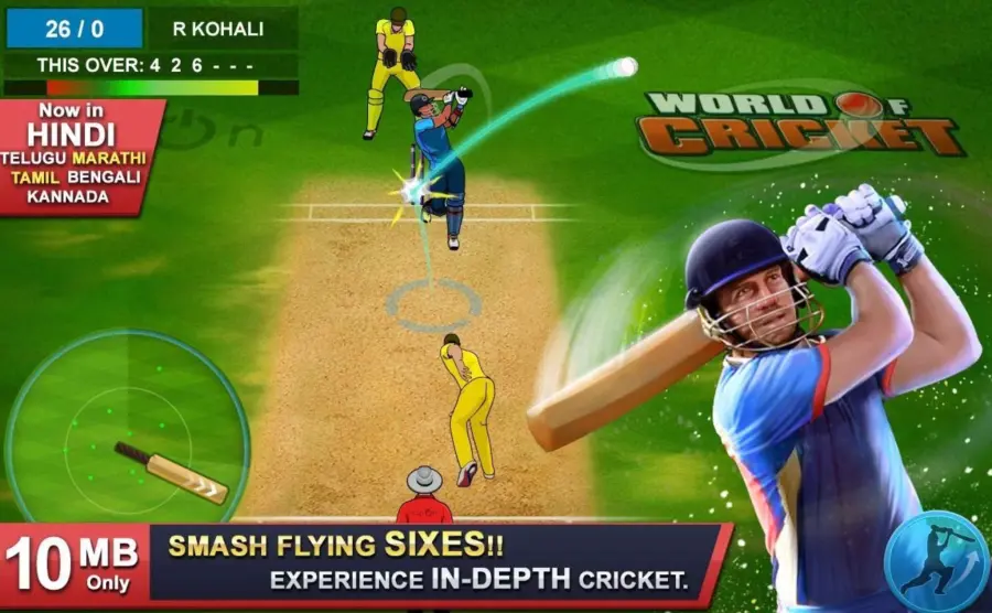 Cricket road game