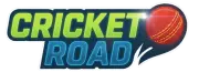 Play Cricket road